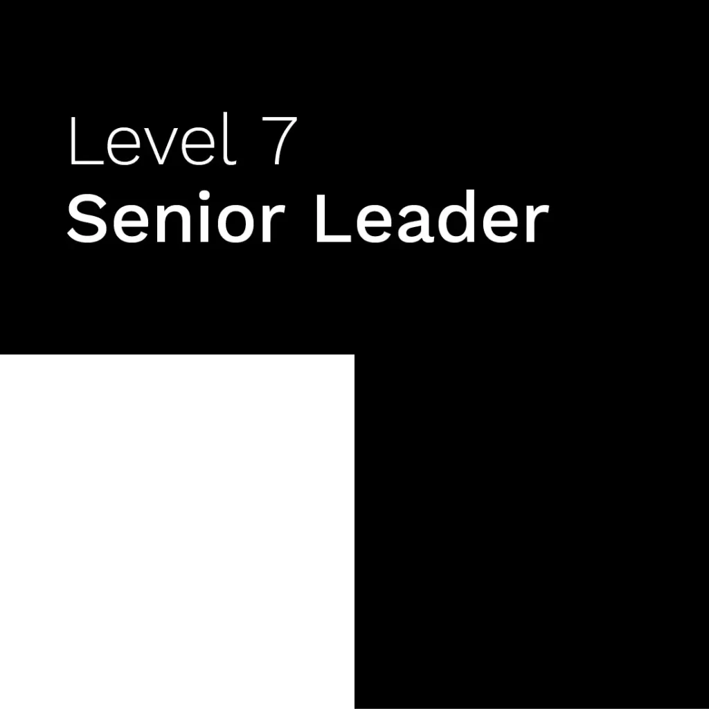 Level 7 Senior Leader Apprenticeship